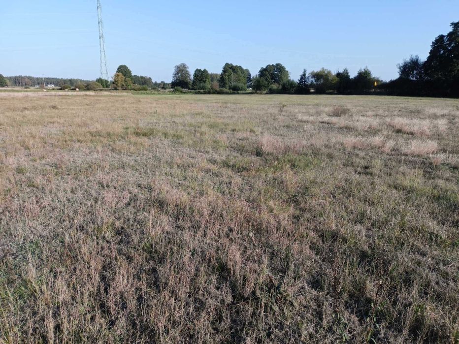 Działka z warunkami zabudowy. Małdaniec k. Szczytna - Widok 5