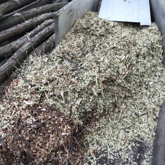 Zrębki Zrębka owocowa