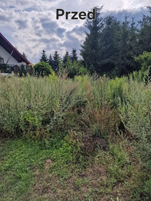 Młody Ogrodnik – Szybko, Dokładnie i w Dobrych Cenach!