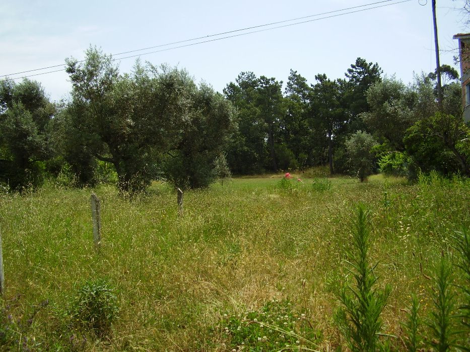 Terreno para construção a 2 km de Mangualde