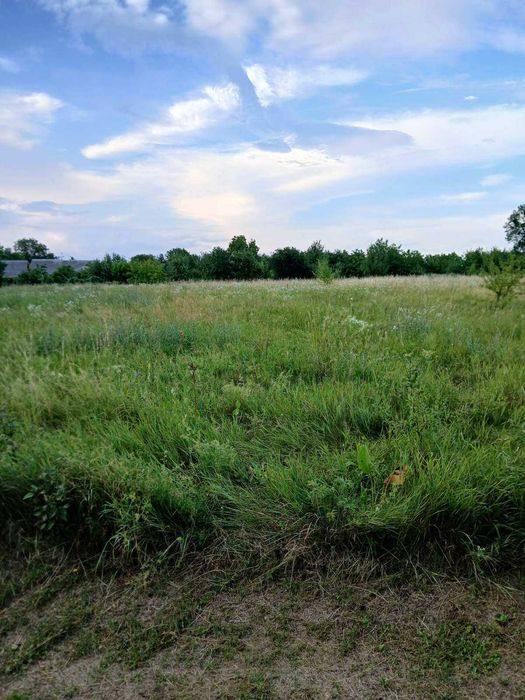 Продаж земельної ділянки 18 соток у с. Стуфчинці (Хмельницький район) - View 2