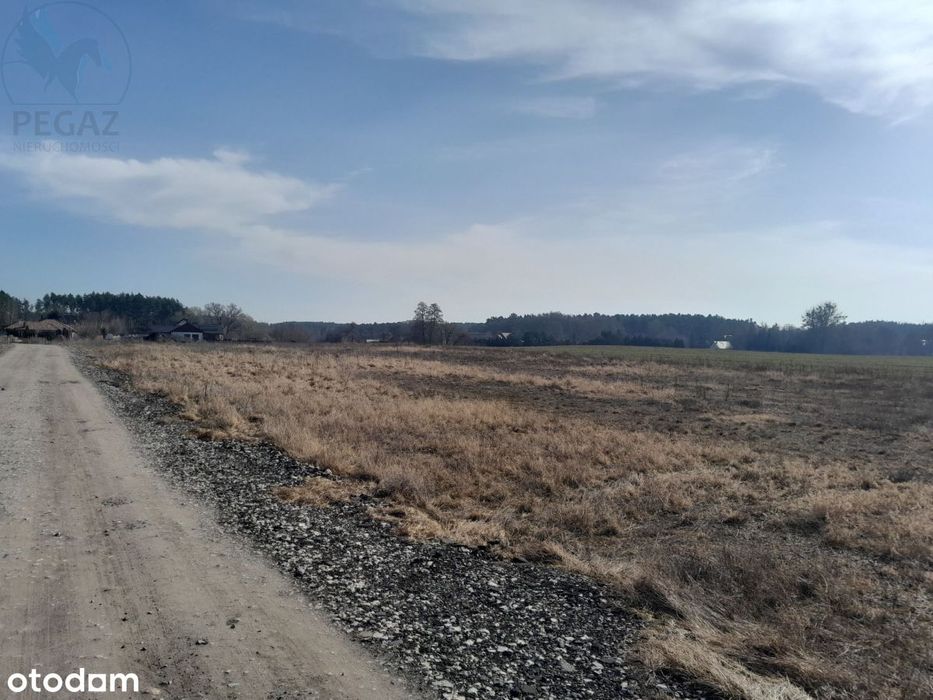 Urokliwe działki budowlane w Kuźniku pod lasem. - Widok 3