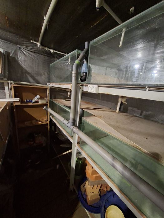 Комплект для вирощування раків, креветок; Система УЗВ;