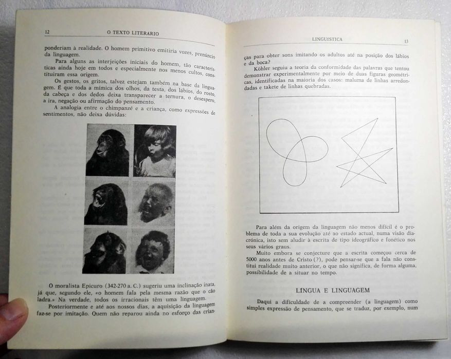 Livro O Texto Literário