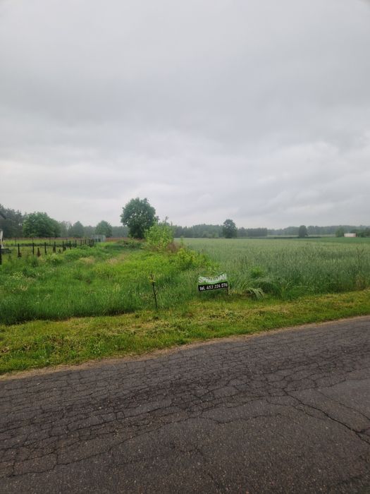 Działka rolno-budowlana w Gołąbku - Widok 5