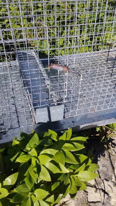 Viveiro para pássaros