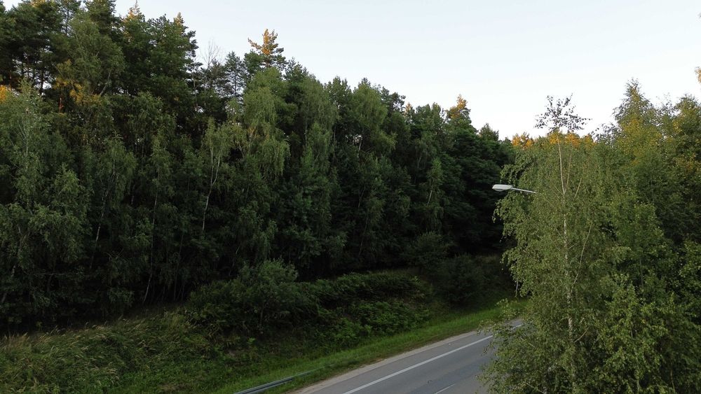 Działka leśna 772 m² Dąbrowa k. Kielc – blisko S7 / Węzła Kielce Północ - Więcej