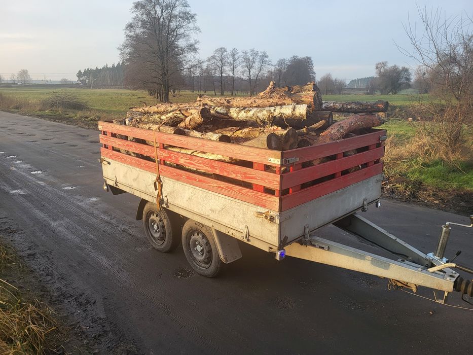 Wynajem Wypożyczalnia  Przyczep Samochodowych