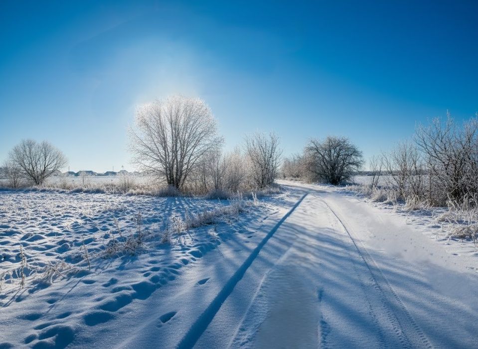 Продаж ділянки  10 сот Оліївка 2 км від Житомира