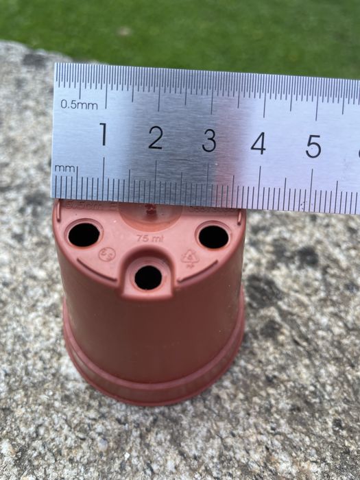 Conjunto de 50 vasos de plástico 5,5 cm.