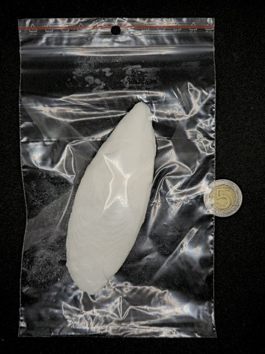 Sepia kość mątwy 8-12cm