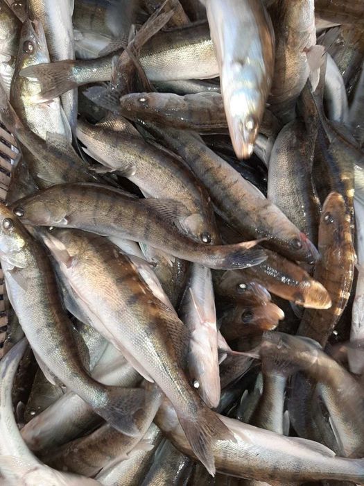 Реалізуємо живу.