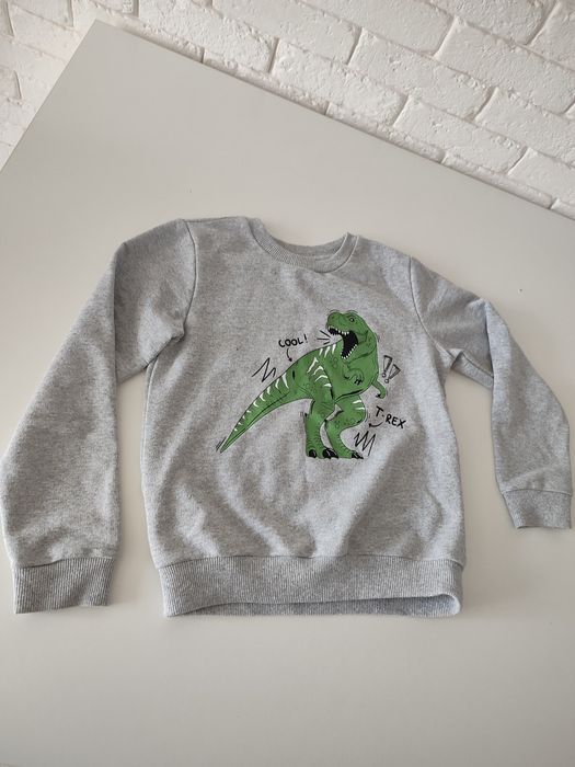 Bluza szara z dinozaurem. Szary sweter dla chłopca.