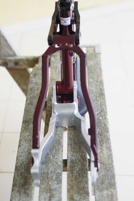 Quadro banshee chaparral