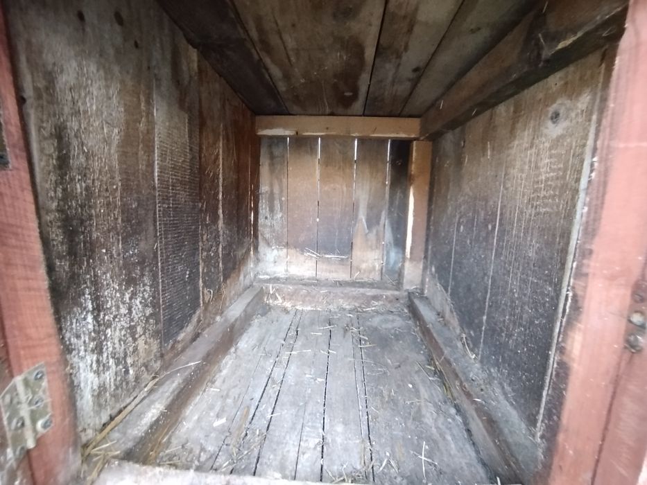 Klatka dla królików,  trysnik, tryśnik