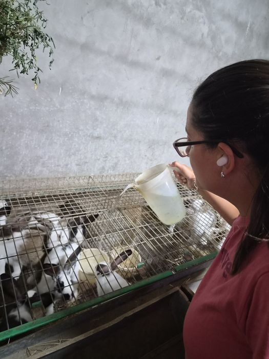 Pet Sitter dedicada/o para o seu animal de estimação