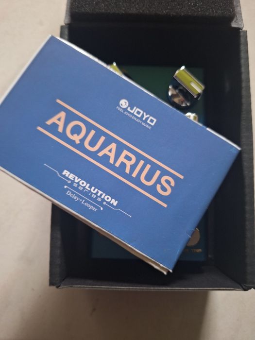 JOYO R-07 Aquarius Delay + Looper