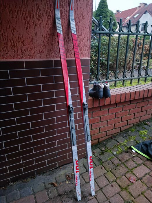 Komplet: Narty Biegowe, Buty, Quechua Classic 100; SNS Profil, Salomon
