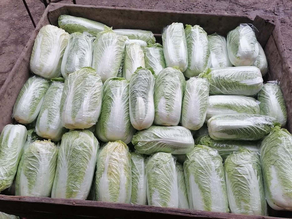 Zestaw warzyw bezpośrednio od rolnika wysyłka inpost paczkomat