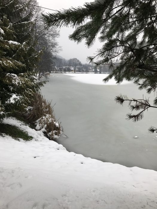 Простора 2 кімнатна кв. біля лісу,Поляна,Закарпаття,поруч ринок,котел