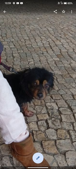 Menino para doação URGENTE