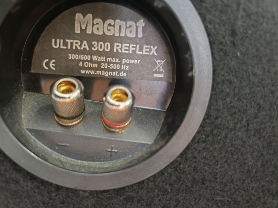Conjunto Subwoofer+amplificador