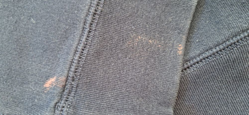 Polo Ralph Lauren bluza miś z misiem logo