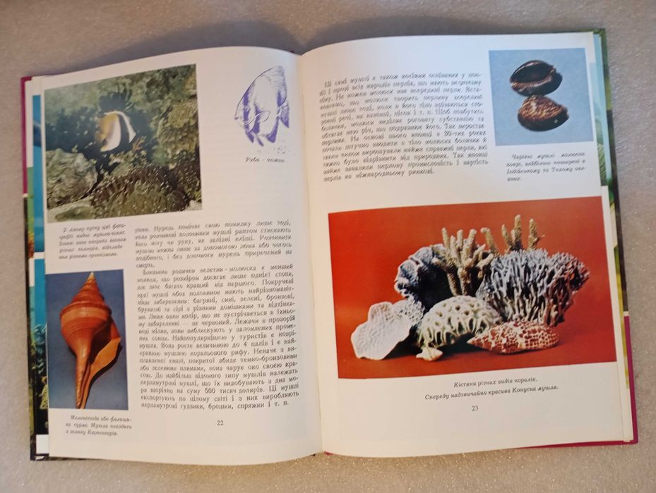 У царстві коралів . Пилип Вакуленко