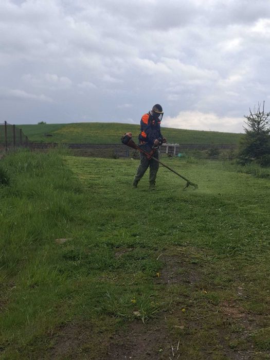Wykaszanie traw nieużytkow oraz chaszczy