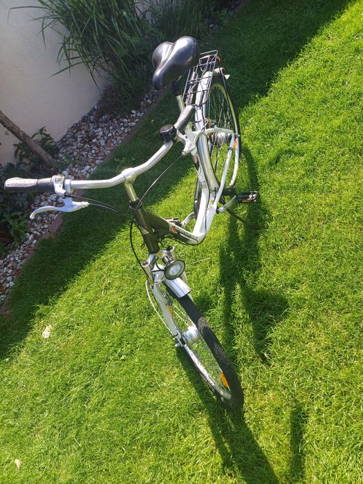 Rower damka Pegasus