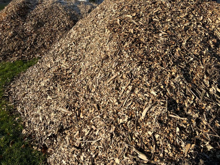 Zrębka trociny do ściółkowania na rabaty ścieżki, świeża, b. ładna
