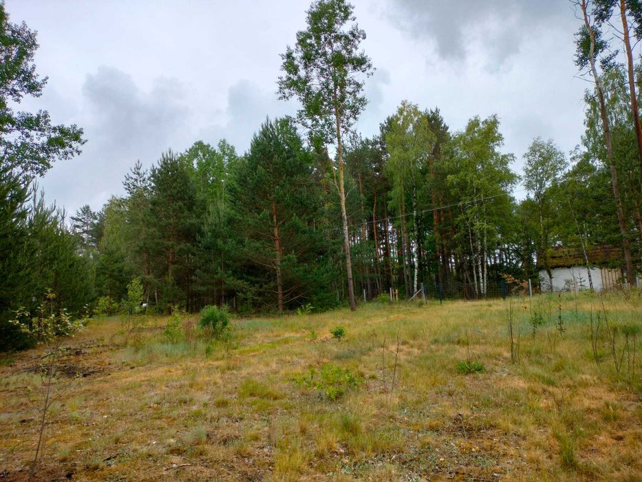 Działka 2300m2 Janów gm. Wolbórz