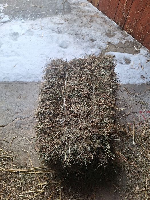 Sprzedam Siano i Słoma
