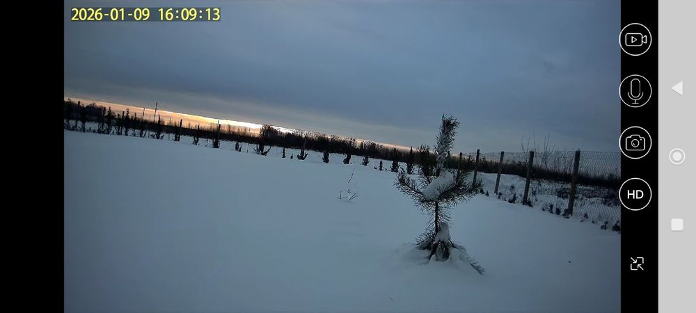 Продам ділянку під лісом