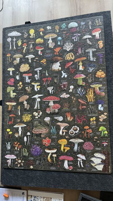 Puzzlove 1000 grzyby