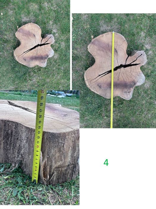 Plastry Akacjowe płaty akacji różne 50-70cm suche