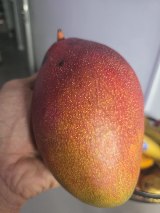 Caixas de mangas deliciosas para entregas