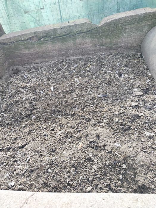 Oddam za darmo obornik