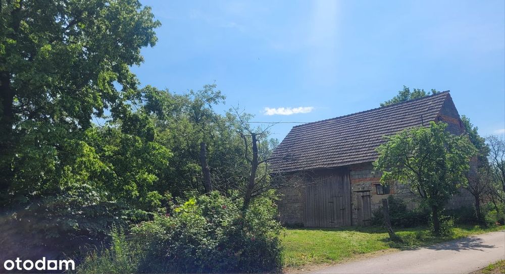 Działka ze stodołą w Stoszowicach - Widok 2