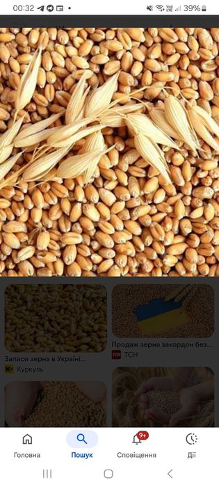 Пшениця,ячмінь,овес.