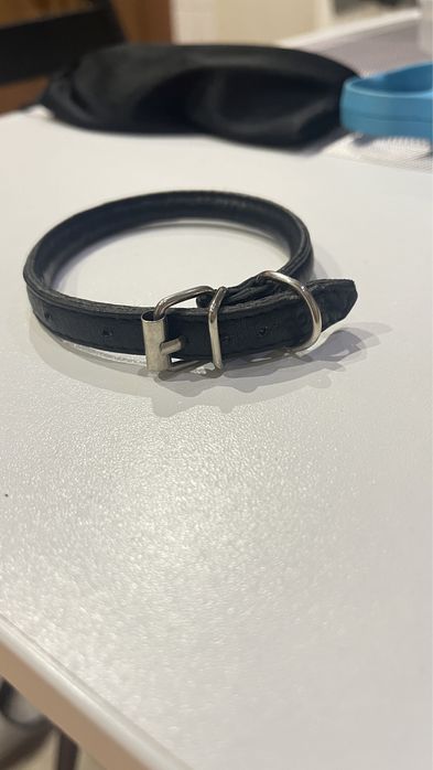 нашийник із шкіри