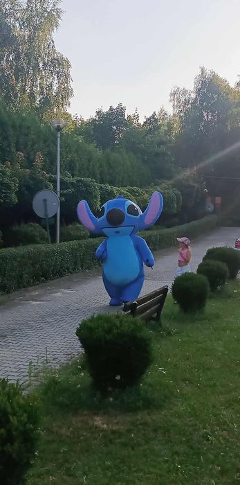 Maskotka Stich Na Imprezy