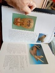 Ecuador-una Sínteses del mundo em los Andes -Pabellon del Equador -Expo 92Sevilla 15E- Pertende jogar Golfe?Luva Golfe Pele EsquerdaFootJoy15E Desde2E