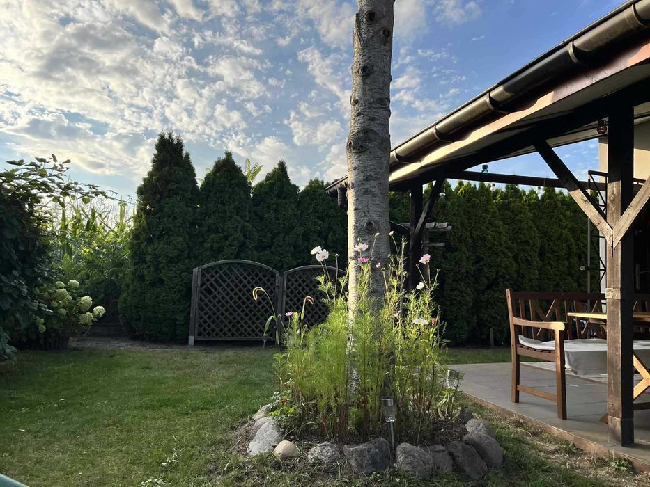 Na sprzedaż urokliwa działka ROD Relaks Szałe - rezerwacja