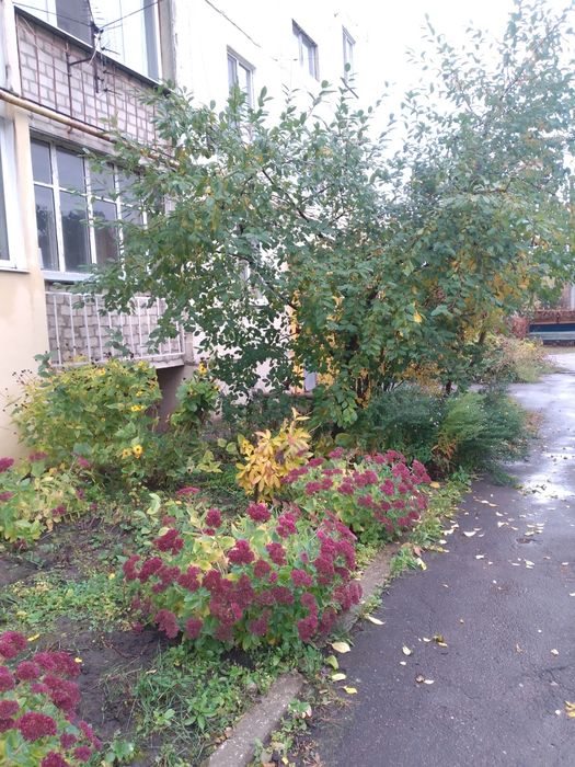 Продам 4х.км.кв в Солоницевке (БЕРМИНВОДЫ)