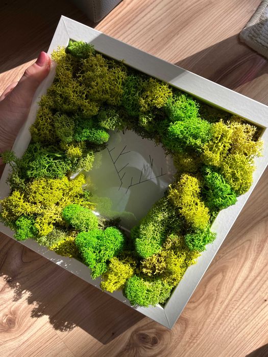 Diy ramka dekoracja 3D mech chrobotek ozdoba poroże na ścianę