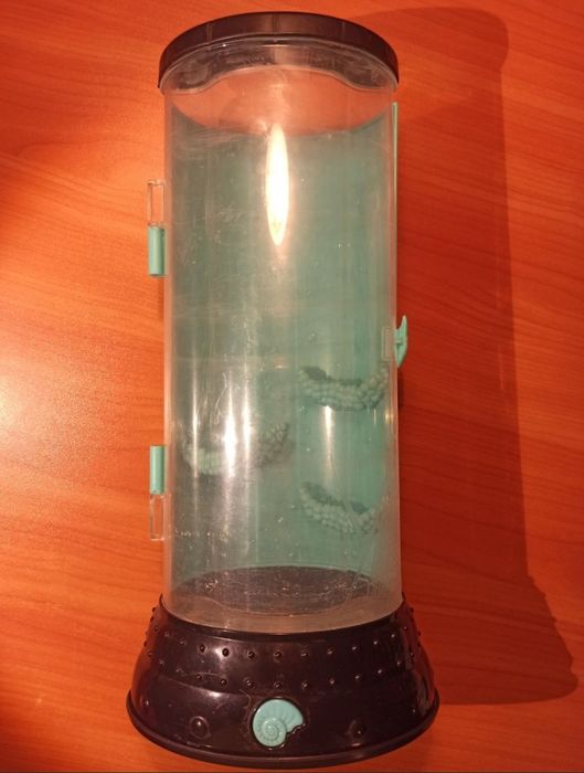 Лялька і Гідростанція Лагуна Блу.