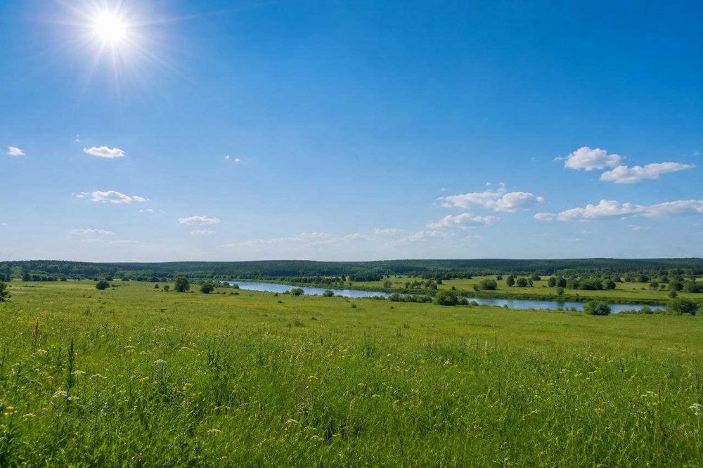 В продажу декілька земельних ділянок в Сумській області
