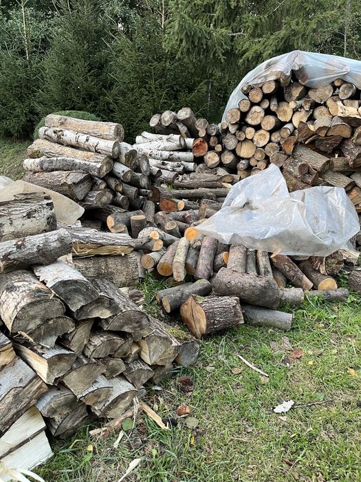 Sprzedam drewno opałowe - liściaste