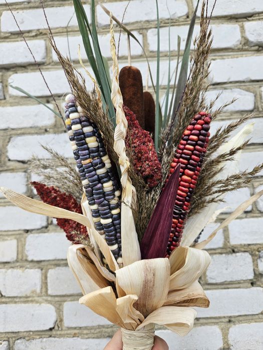 Кукурудза кольорова червона